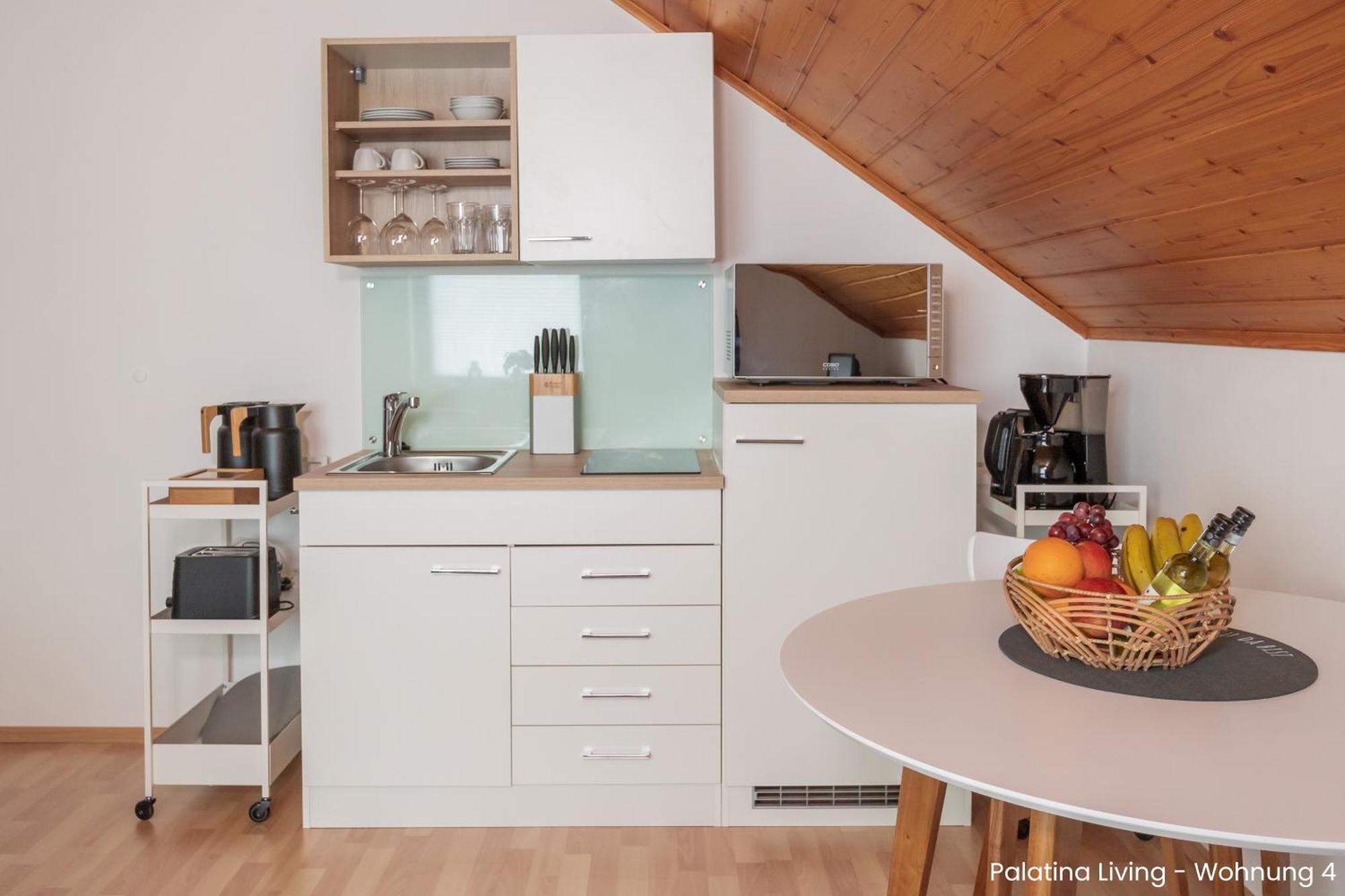 Palatina Living Apartment Fischbach Exterior photo