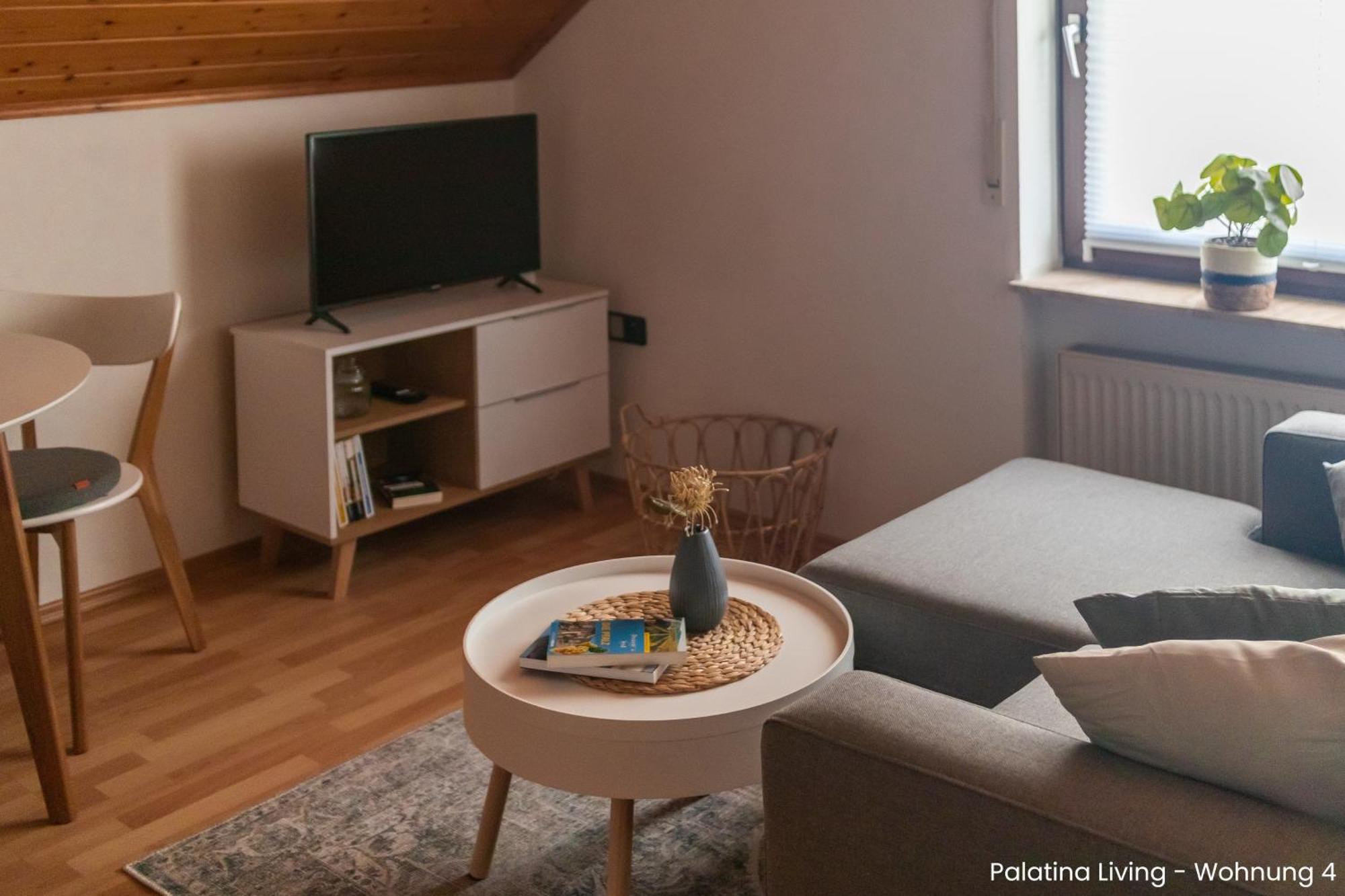 Palatina Living Apartment Fischbach Exterior photo