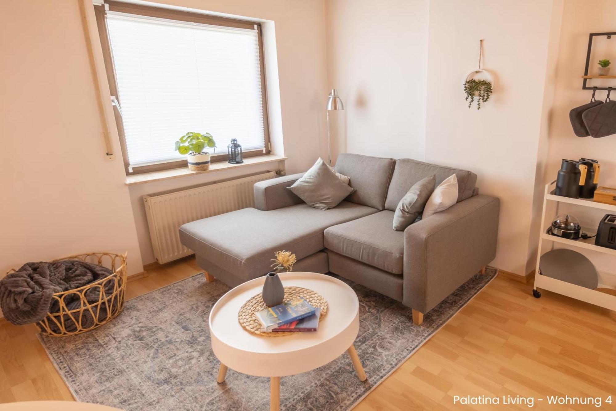 Palatina Living Apartment Fischbach Exterior photo