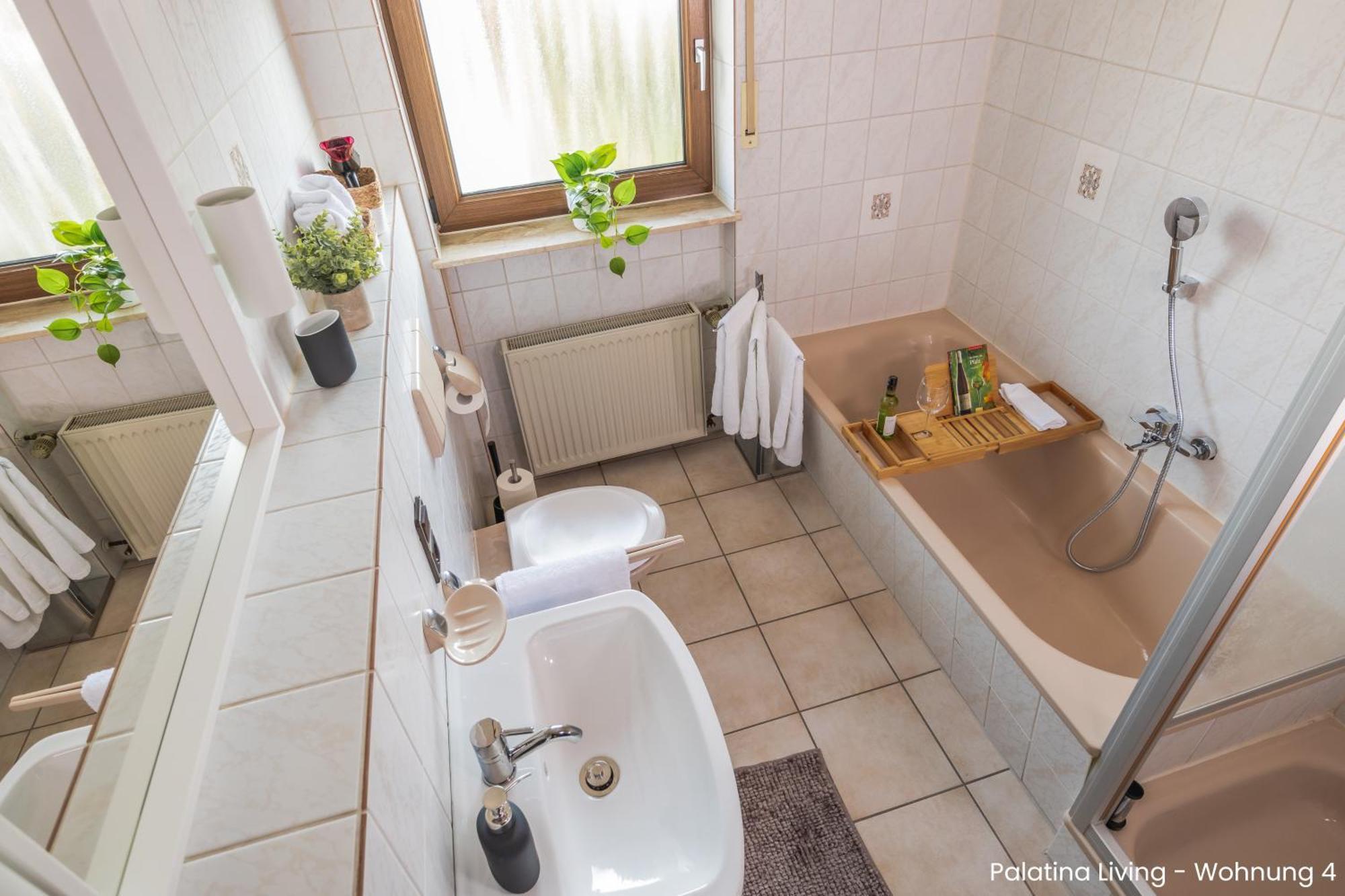 Palatina Living Apartment Fischbach Exterior photo