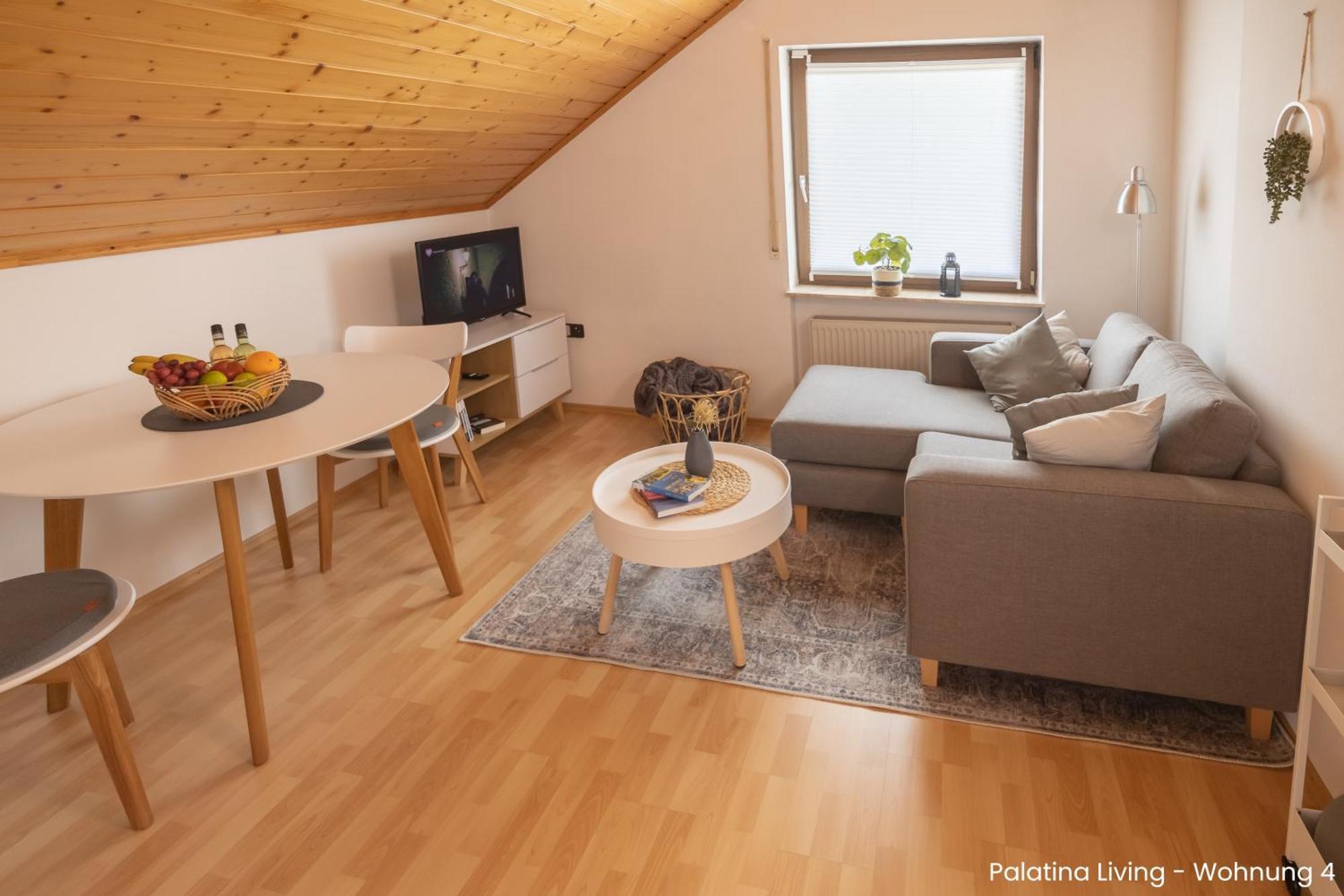 Palatina Living Apartment Fischbach Exterior photo
