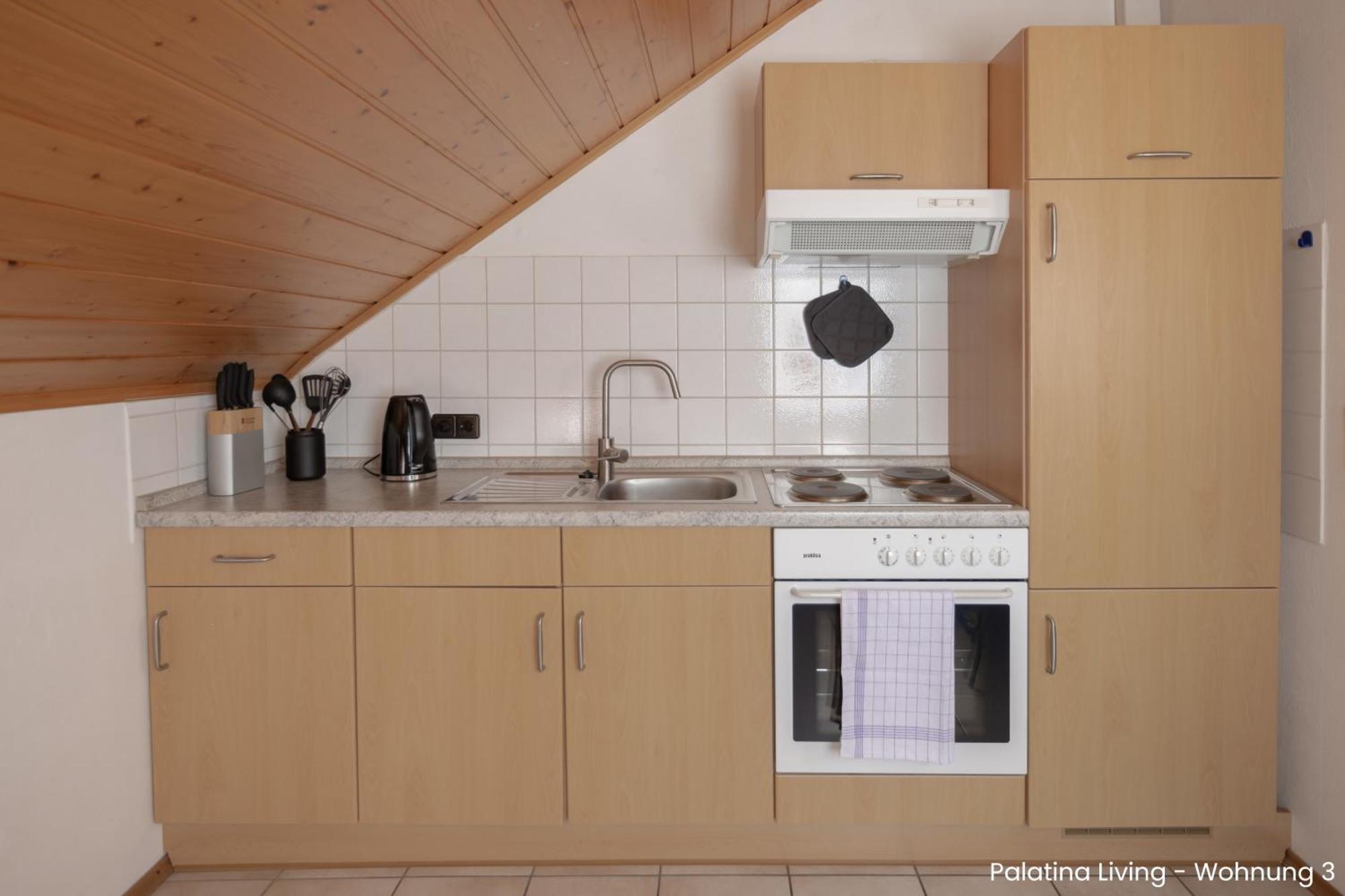Palatina Living Apartment Fischbach Exterior photo