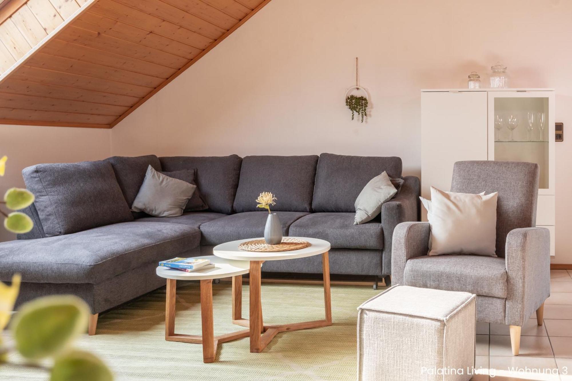 Palatina Living Apartment Fischbach Exterior photo