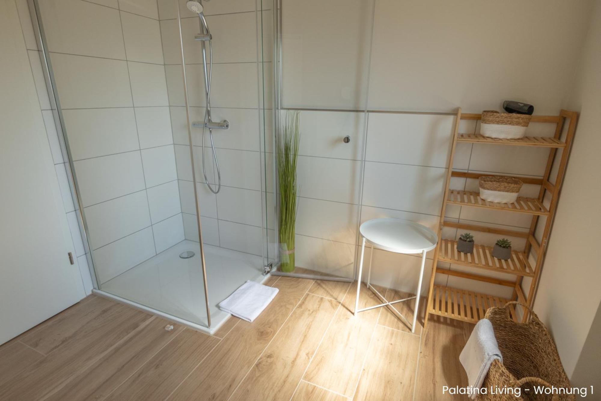 Palatina Living Apartment Fischbach Exterior photo