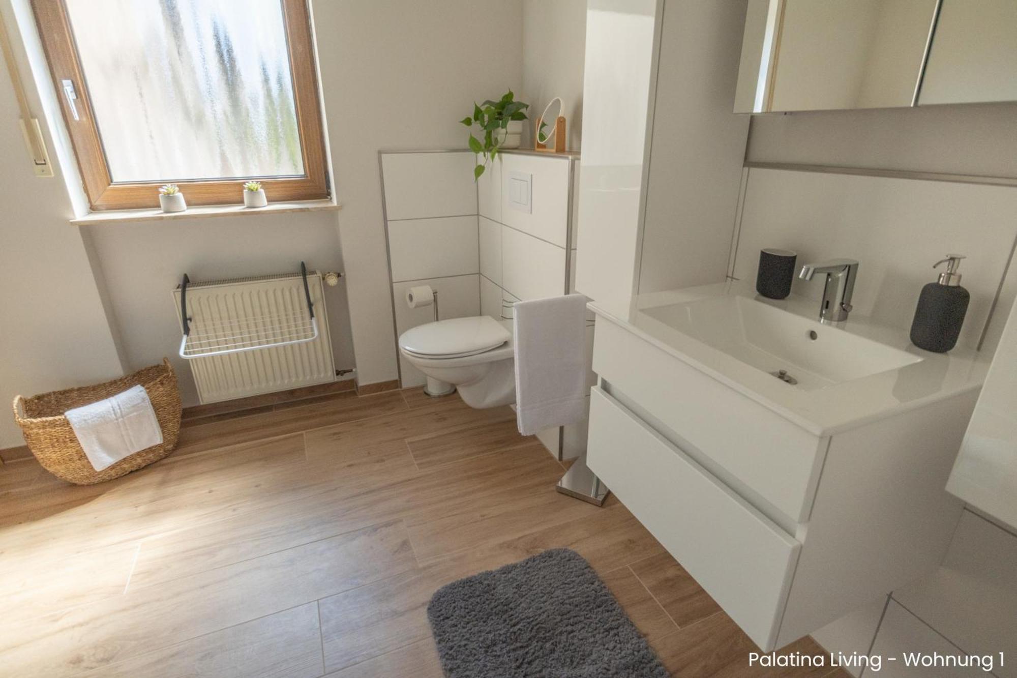 Palatina Living Apartment Fischbach Exterior photo