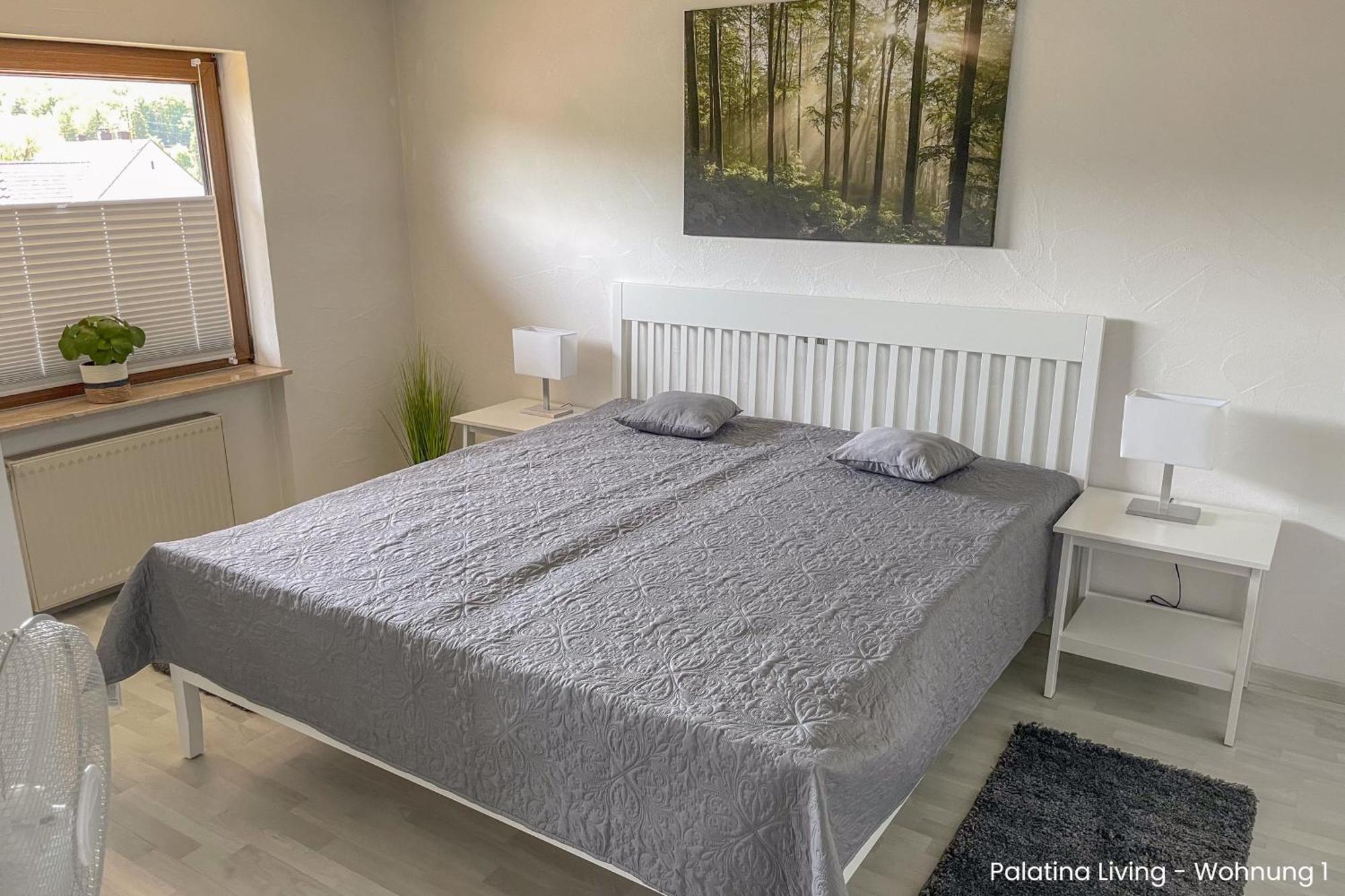 Palatina Living Apartment Fischbach Exterior photo