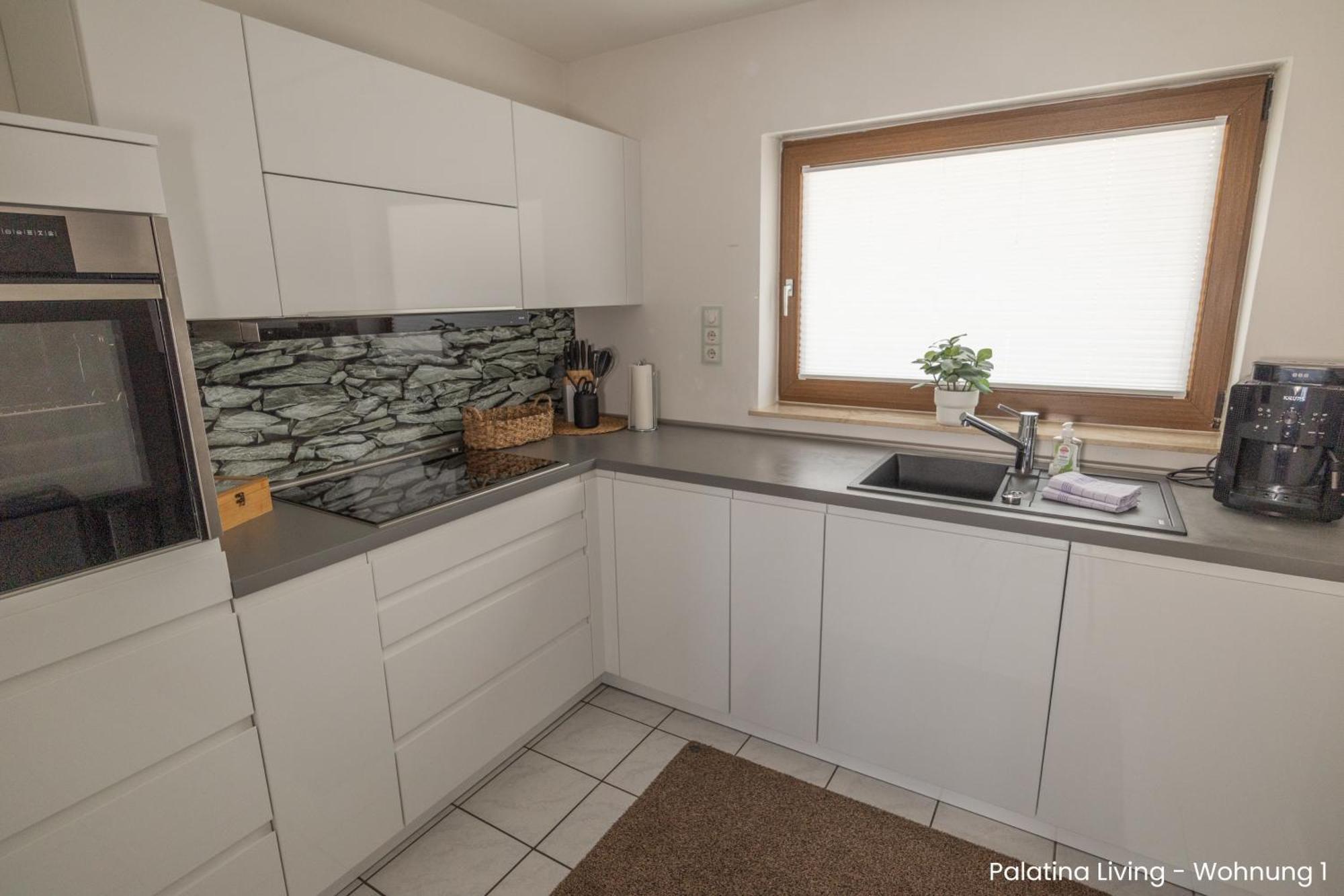 Palatina Living Apartment Fischbach Exterior photo
