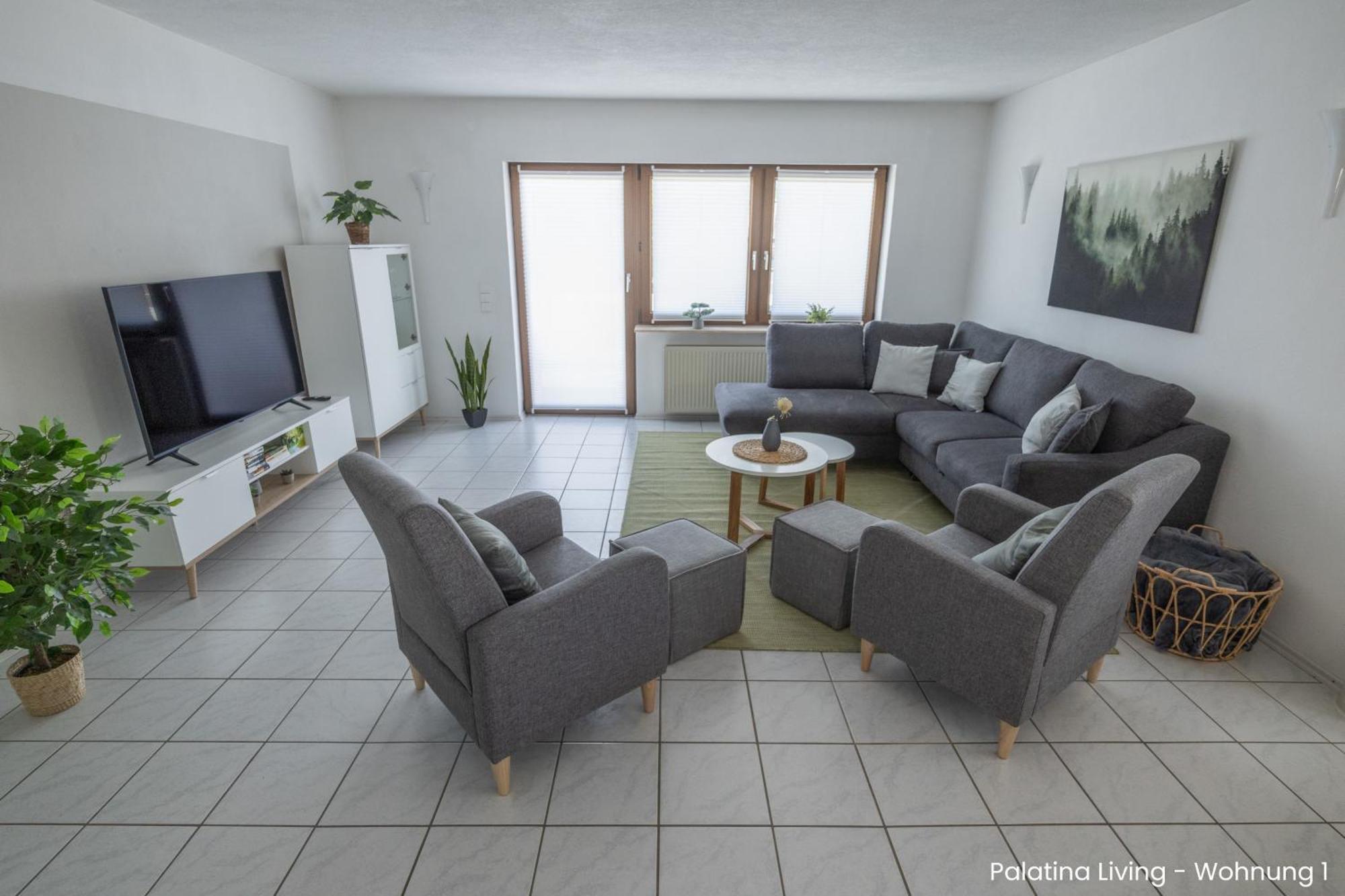 Palatina Living Apartment Fischbach Exterior photo
